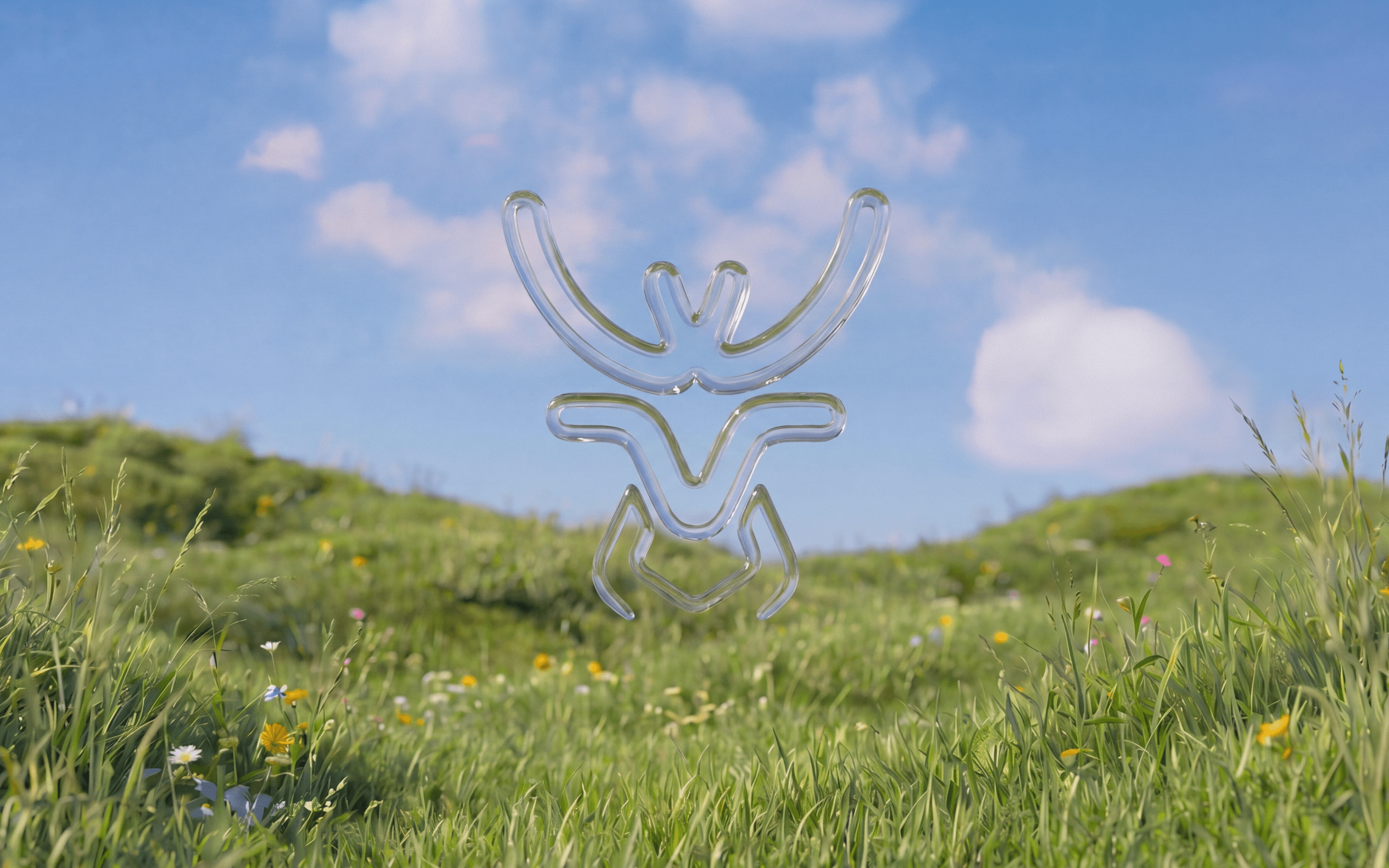 Won hero background